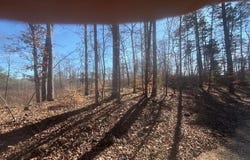 TRACT 5 GEORGE WALTER Rd, Bolivar, TN 38008