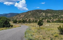 4055 Bear Creek Circle, South Fork, CO 81154