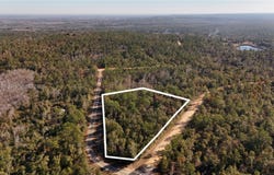 ALENE DR, FL 32420