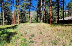 361 Hogan Circle, Durango, CO 81301