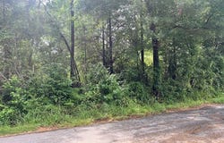 W Topisaw Road N, Ruth, MS 39662