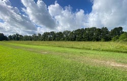 TBD Private Rd, Lafayette, LA 70503