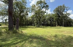 532 Ratliff Ferry Road, Canton, MS 39046