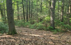 8-2 Tayler Trail, Woodstock, CT 06281