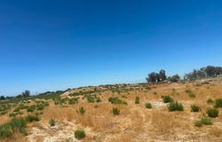 Jackson, Lemoore, CA 93245