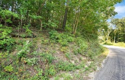 4 Cox Hollow Road, DOVER, TN 37058