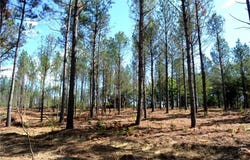 01 Dibrell Road, Pelham, NC 27311