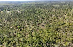 0 NW Miller Road, Altha, FL 32421