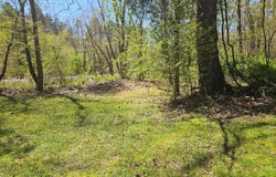 171 Gregory Family Road, New Canton, VA 23123