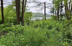 5796 Lake Five Lane, Kalkaska, MI 49646