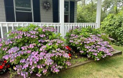 8 Bayberry Avenue, Kennebunk, ME 04043