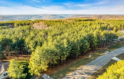3540 Crockett Point lot: Jf 308, Jasper, TN 37347