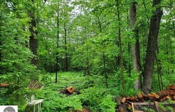 5525 Chippewa Trail, Prescott, MI 48756
