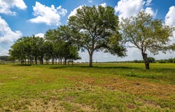 2112 (Tract #4) Baca Loop, Flatonia, TX 78941
