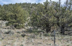 15944 SW Hat Rock Loop, Powell Butte, OR 97753