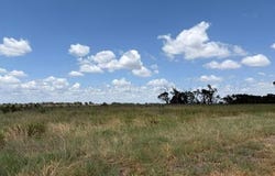 State Highway 203, Wellington, TX 79095