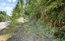 MOUNT REUBEN RD, Glendale, OR 97442