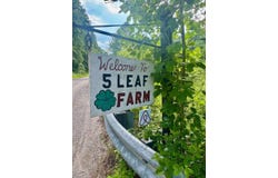 910 Straight Creek, Walton, WV 25286