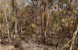 4611 Legacy Preserve Way SE, Brownsboro, AL 35741