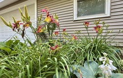195 Forest Trail, Leroy, MI 49655