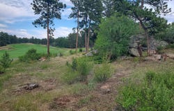 1532 Fox Acres Dr W, Red Feather Lakes, CO 80545