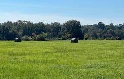 670 County Road 1514, Jacksonvi, TX 75766