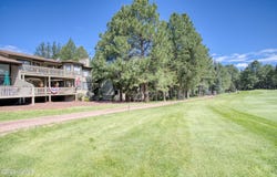 3651 Crown Dancer Drive, Pinetop, AZ 85935