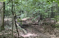 9999 Lela Lane, Monticello, KY 42633