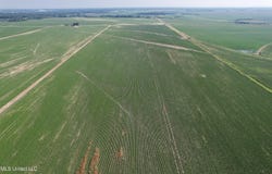 Farrell Road, Clarksdale, MS 38614