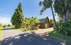 18-4169 N GLENWOOD RD, Volcano, HI 96785