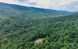 0 VINCENT TRAM ROAD, MIFFLINTOWN, PA 17059