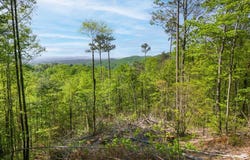Lot 73 Mountain View Road, Ellijay, GA 30540