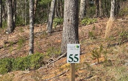 Lot 55 Mountain Laurel Ridge, Mineral Bluff, GA 30559