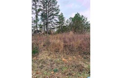 INDIAN HILLS ROAD lot: 0, HAYDEN, AL 35079