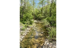 000 Tbd E State Hwy 76, Bradleyville, MO 65614