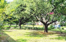 204 Overhill Drive, Waxahachie, TX 75165