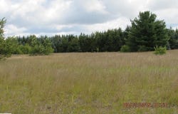 792 GROUSE DRIVE, KALKASKA, MI 49646
