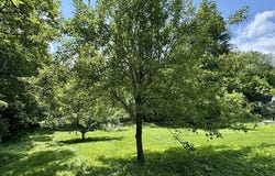 52 Elm St, North Brookfield, MA 01535