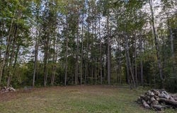22313 10 Mile Road, Reed City, MI 49677