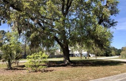 117 Wando Reach Road, Wando, SC 29492