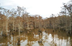 TN-18, Bolivar, TN 38008