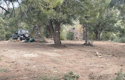 P14, Minden, NV 89423