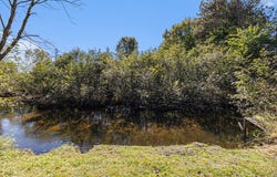 3459 N Morrie Lane, White Cloud, MI 49349