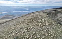 00000 TBD Spur Road, Lewiston, ID 83501