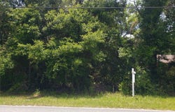 REYNOLDS ROAD, DE LEON SPRINGS, FL 32130