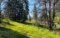1390 LOOKOUT POINT WAY, KETTLE FALLS, WA 99141