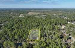 SAFFRON AVENUE, EUSTIS, FL 32736
