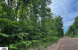 4856 Mancelona Road, Mancelona, MI 49659