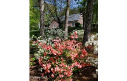3008 Williams Rd, Knoxville, TN 37932