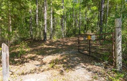 165+/- Acres Harrison Rd, Kinston, AL 36453